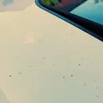 j ai des taches de resine sur mon véhicule je fais quoi ?